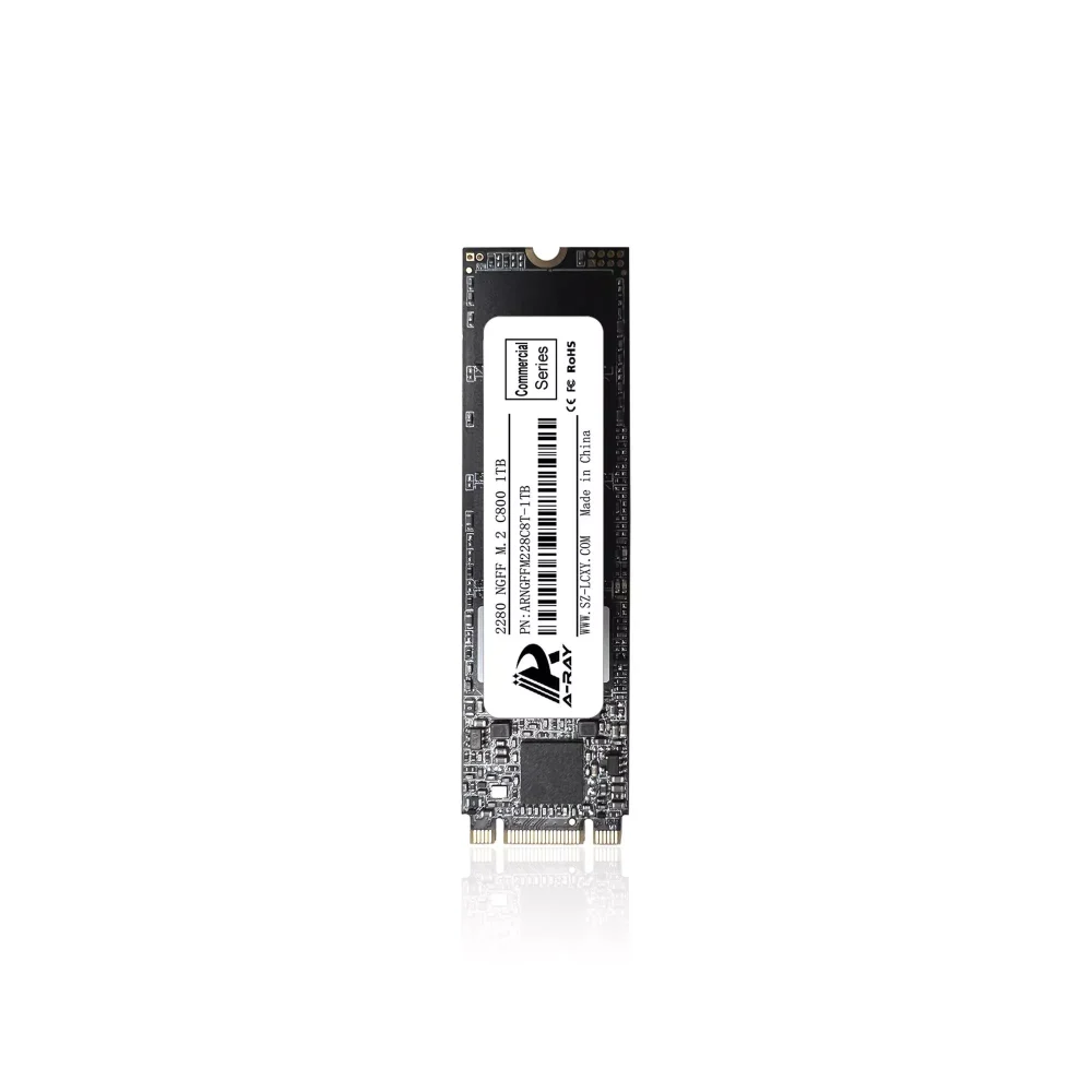 Ổ cứng SSD 1TB A-RAY 2280 NGFF M.2 6GBps C800 Commercial Series - Ảnh 2