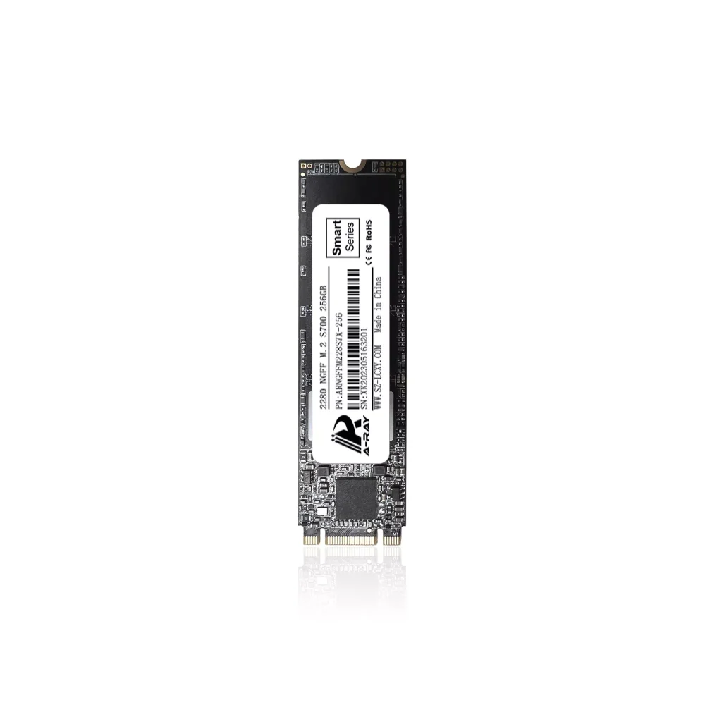 Ổ cứng SSD 256GB A-RAY 2280 NGFF M.2 6GBps S700 Smart Series - Ảnh 2