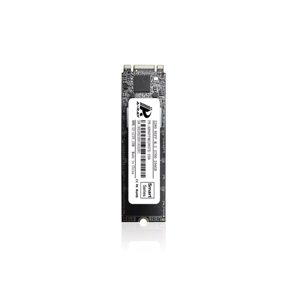 Ổ cứng SSD 256GB A-RAY 2280 NGFF M.2 6GBps S700 Smart Series - Ảnh 3