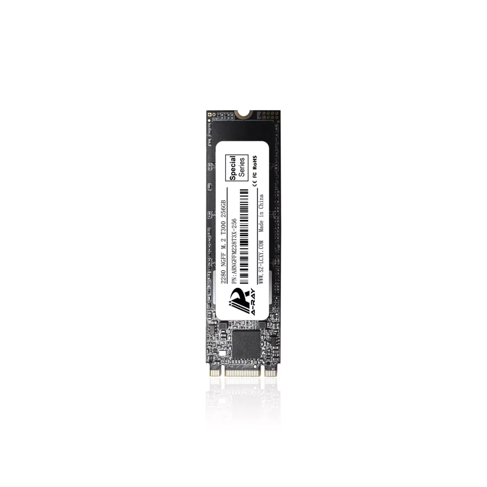 Ổ cứng SSD 256GB A-RAY 2280 NGFF M.2 6GBps T300 Special Series - Ảnh 2