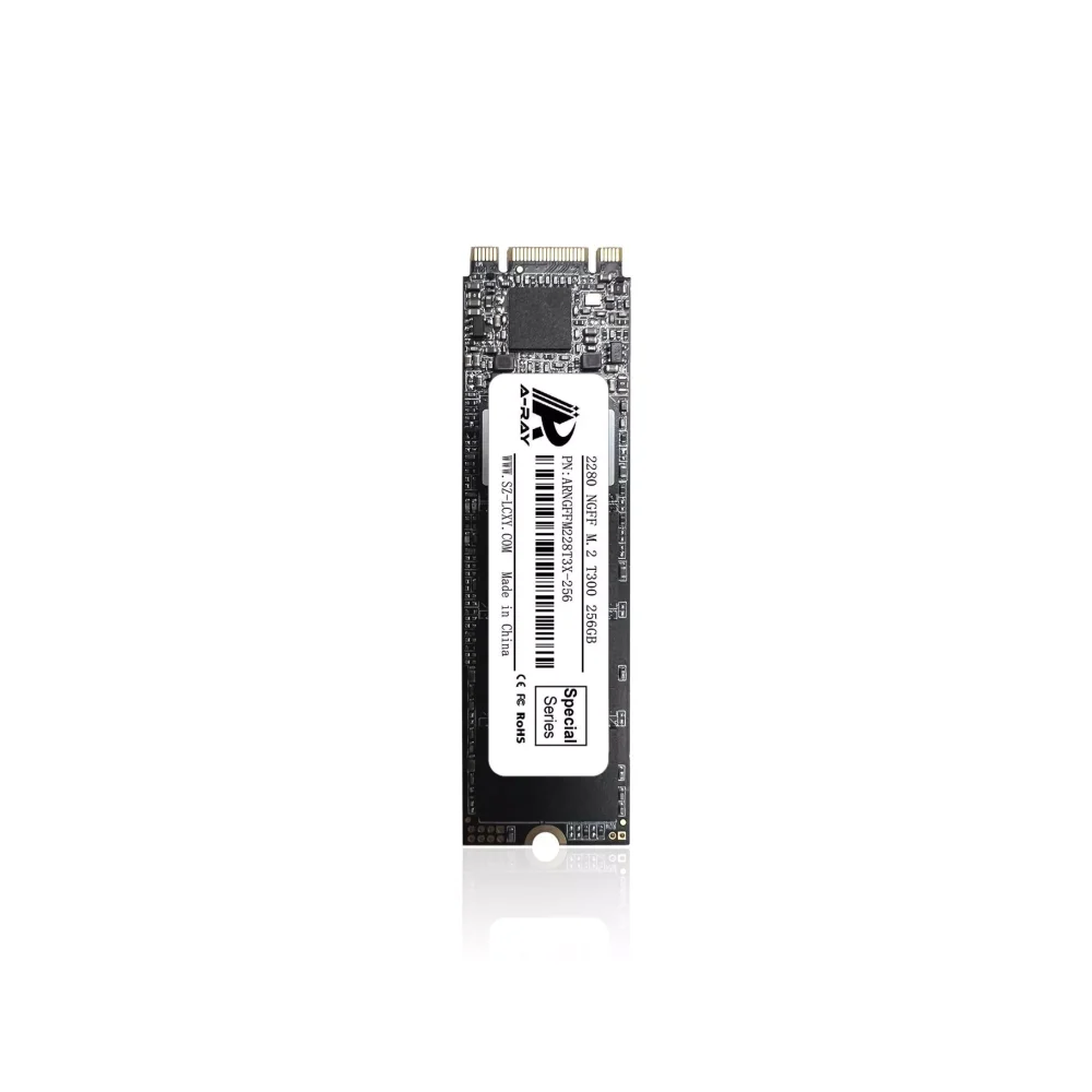 Ổ cứng SSD 256GB A-RAY 2280 NGFF M.2 6GBps T300 Special Series - Ảnh 3